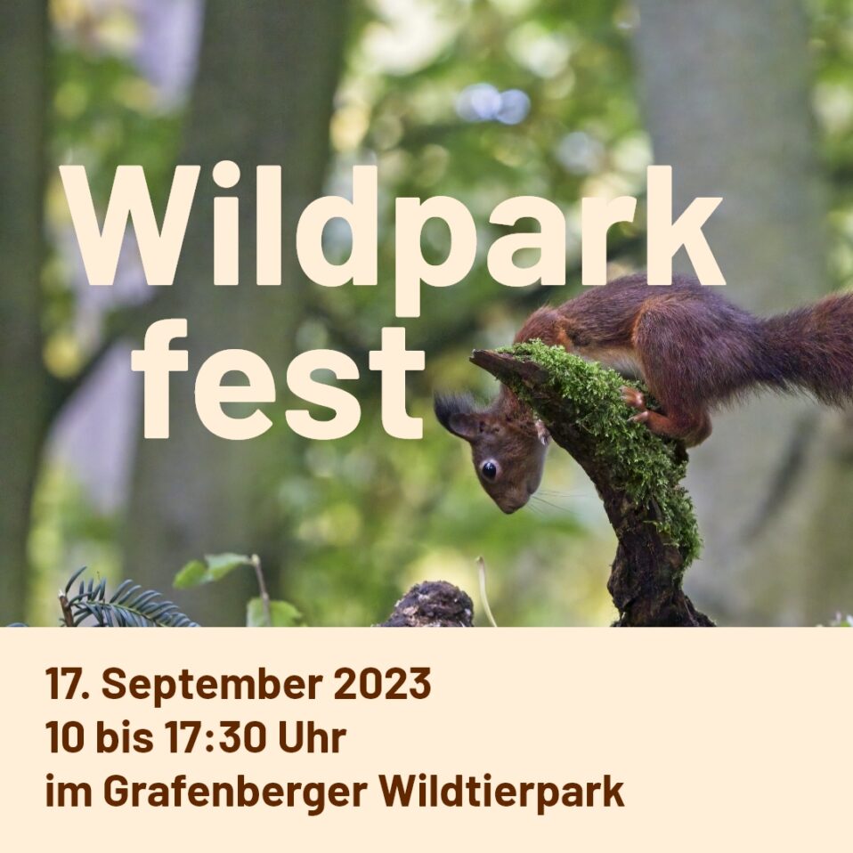 Wildparkfest