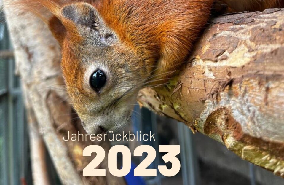 Jahresrueckblick_2023